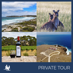 Private Kangaroo Island Luxury  'East End Explorer' Full Day Landscape & Wildlife Tour
