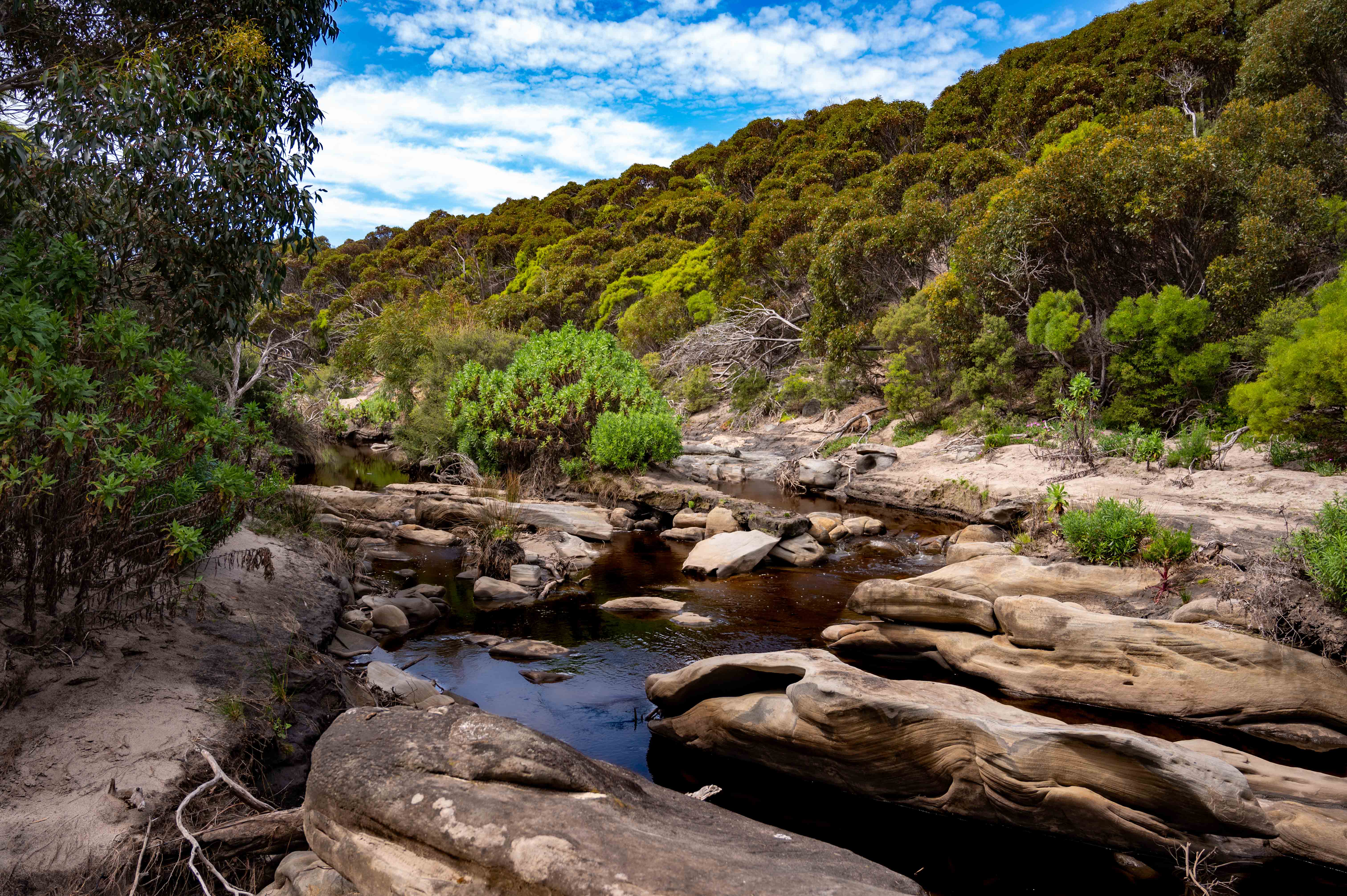 Walk Kangaroo Island