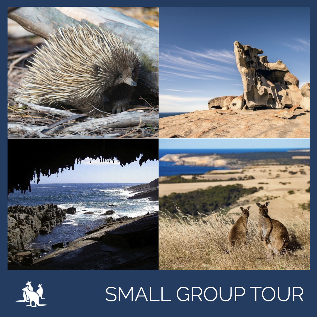 Kangaroo Island Luxury 'Flinders Chase Focus' Full Day Landscape and Wildlife Tour