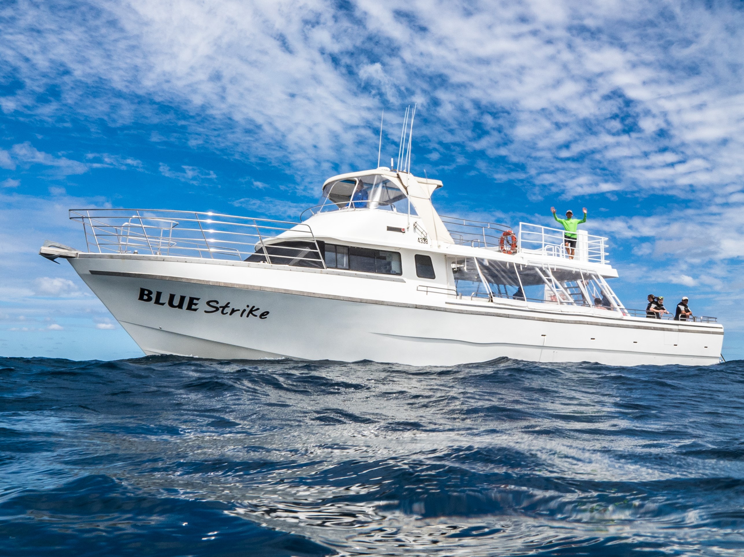 Deluxe Whaleshark Swim Tour on Blue Strike          (1 of 2 Boats Available).
