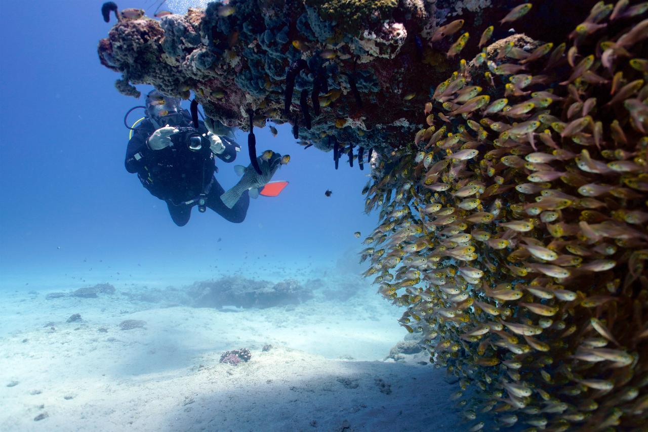 Ningaloo Reef Double Dive Tour