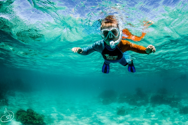 Full Day Outer Reef/Islands Snorkel Tour