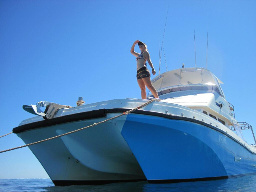 Certified Diver Ningaloo Reef Double Dive Tour