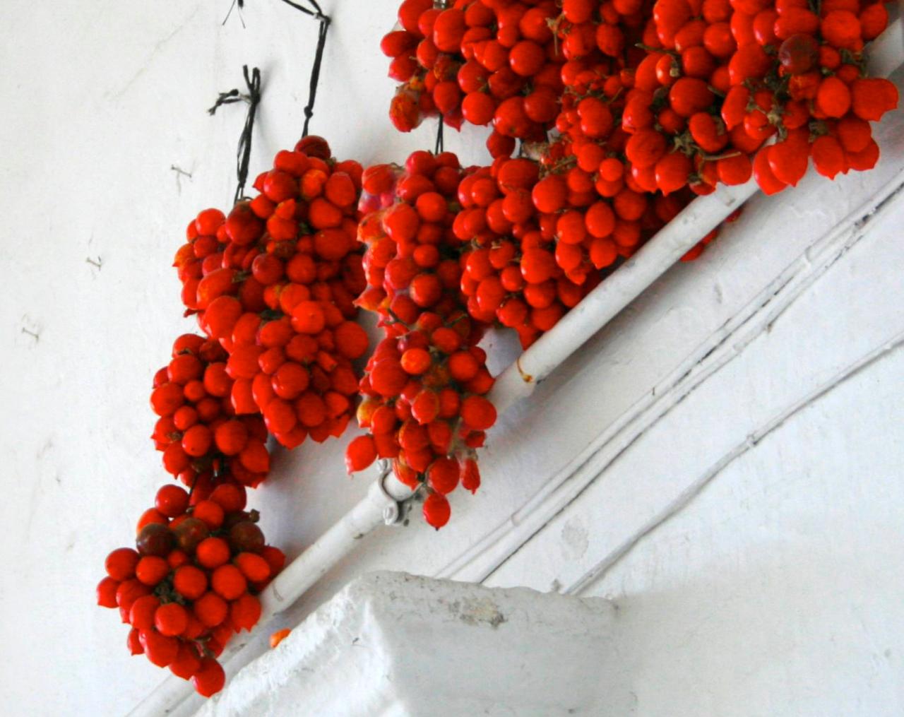 PRIMAVERA IN PUGLIA Locorotondo Spring Tour