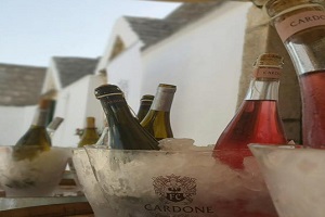 LOCOROTONDO from cummèrse to winery with flavours of the Valle d’Itria #special with light lunch and visit to the vineyard