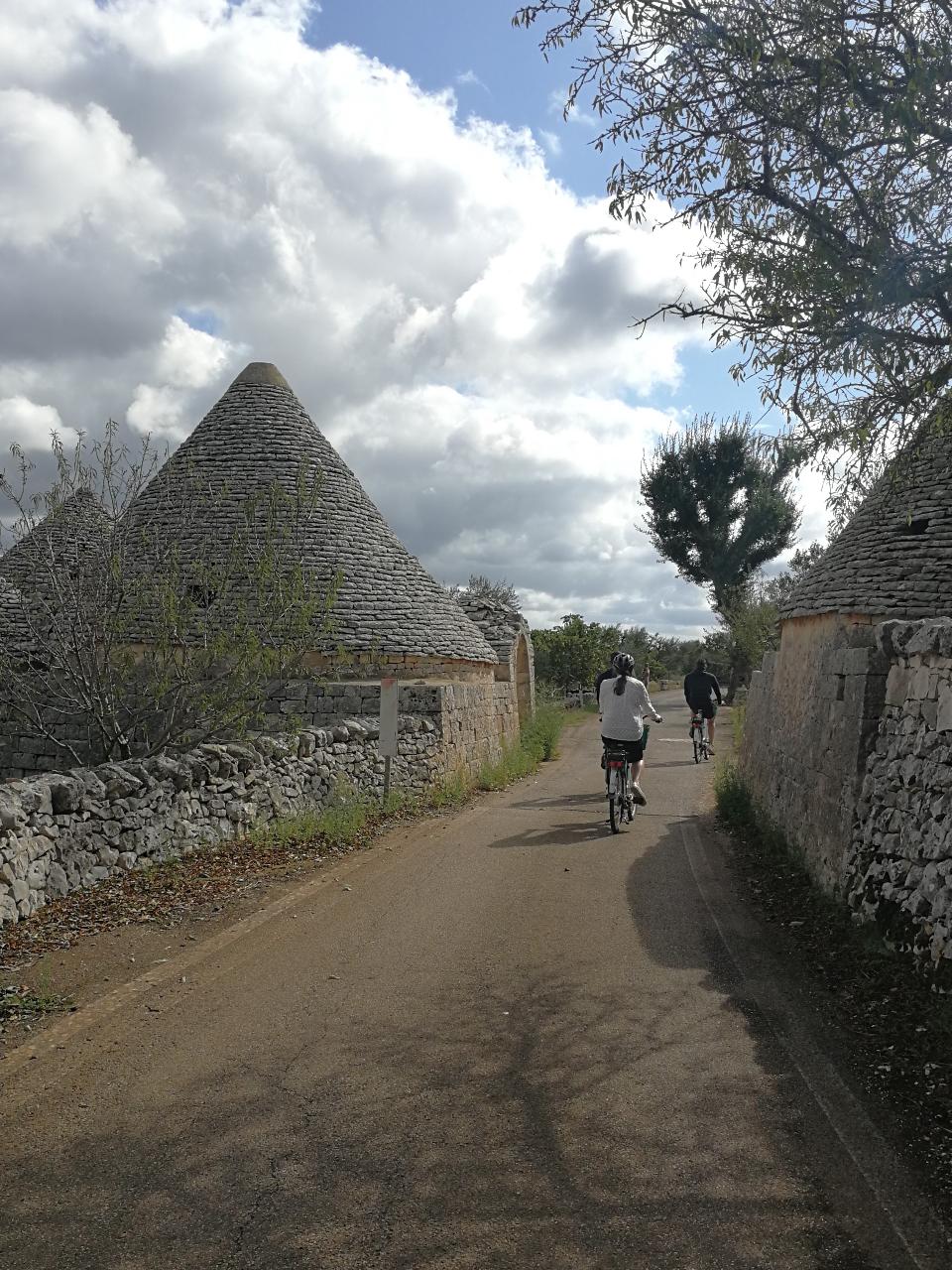 Tour in bicicletta: Dal borgo al frantoio