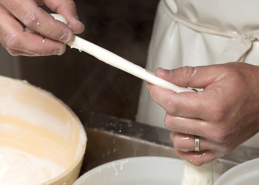 Tour in bicicletta: Mozzarella e sapori in masseria