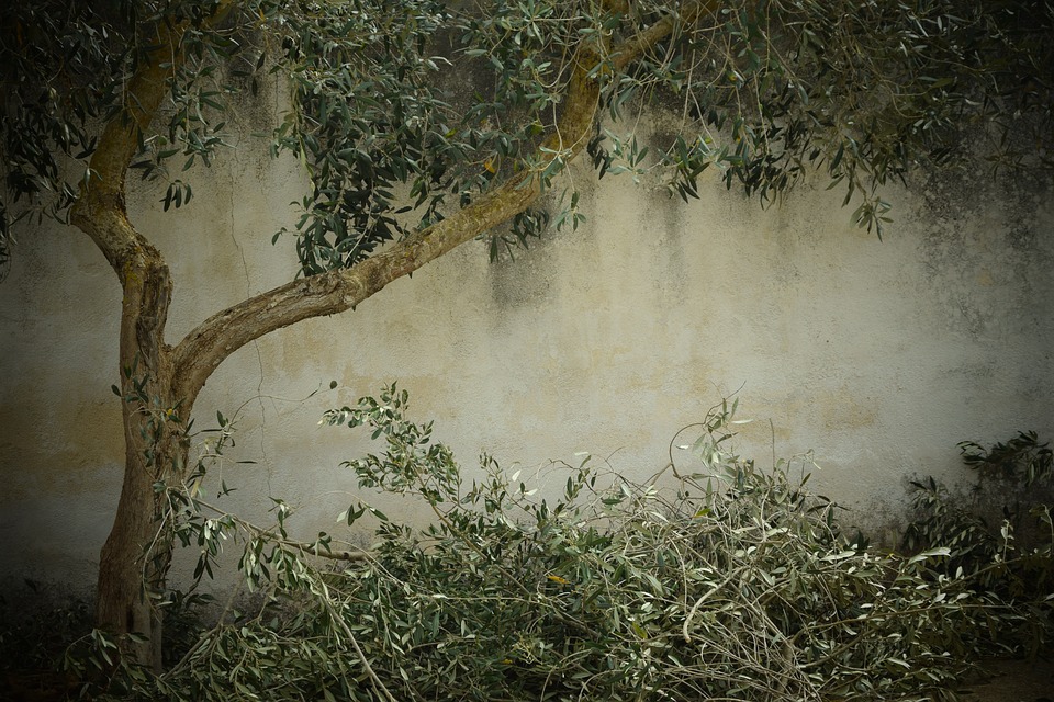 mediagallery-gallery-big-64