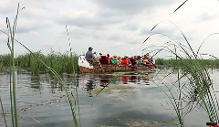 Canoe Paddle & Lakeside Dining Escapade
