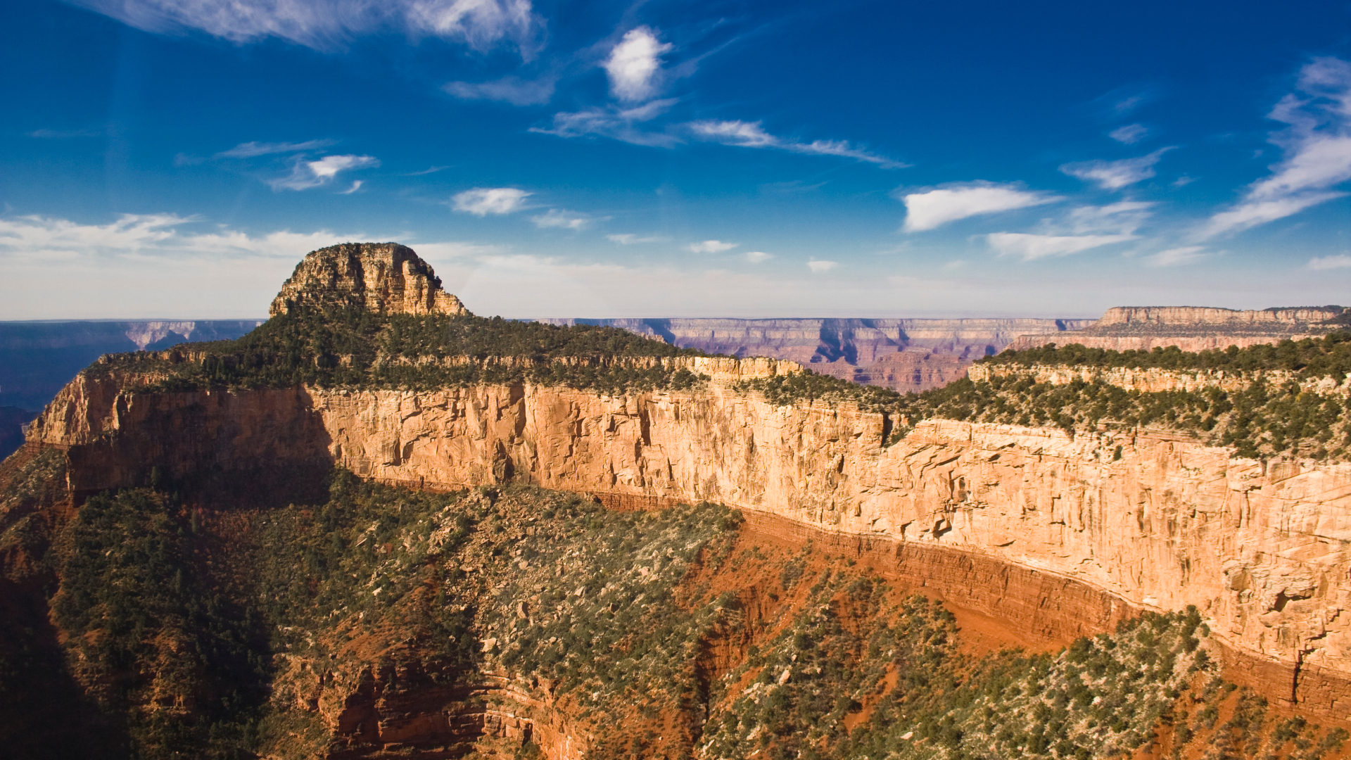 Majestic Grand Canyon National Park Flight