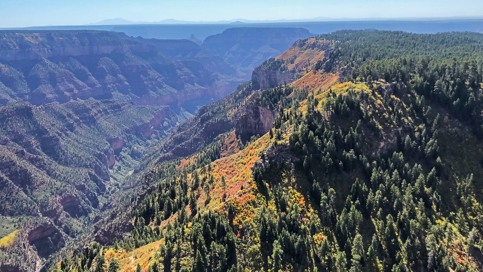 Grand Kingdom Grand Canyon National Park Flight