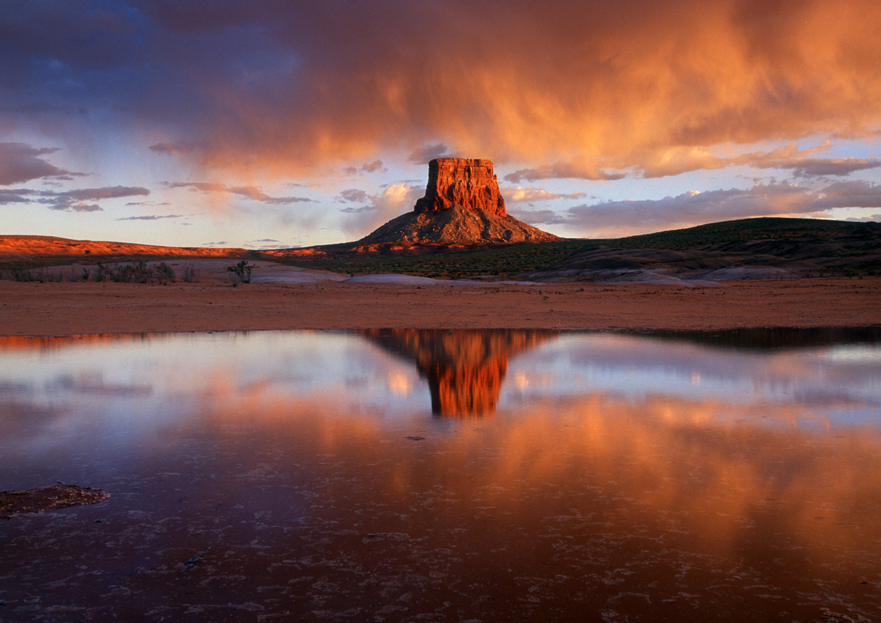 Tower Butte Landing with Horseshoe Bend Helicopter Tour