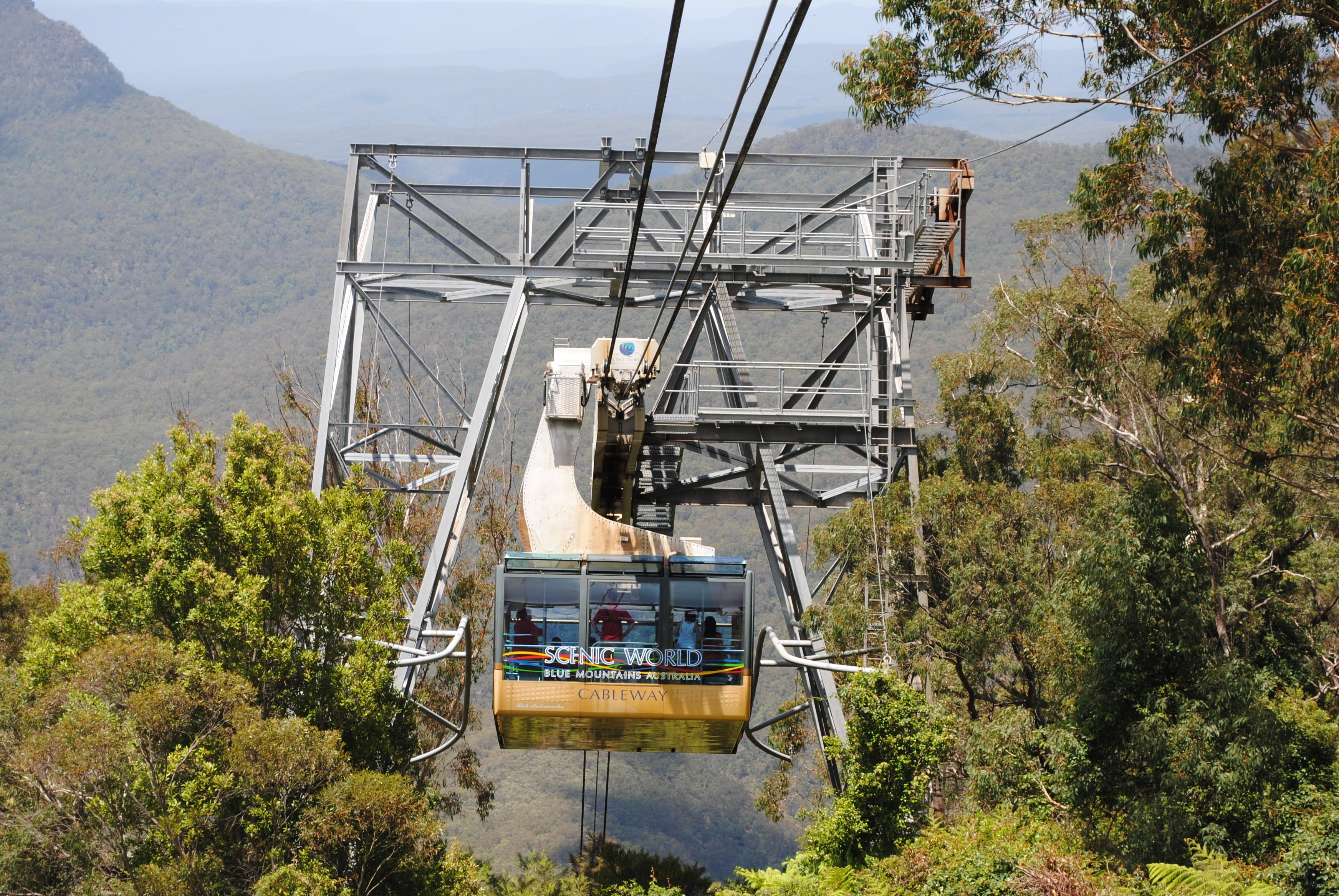 Blue Mountains Explorer Lyrebird Pass