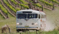 Vineyards in Vintage Style - Megalong Valley Winery Tour in your own Retro Clipper Coach