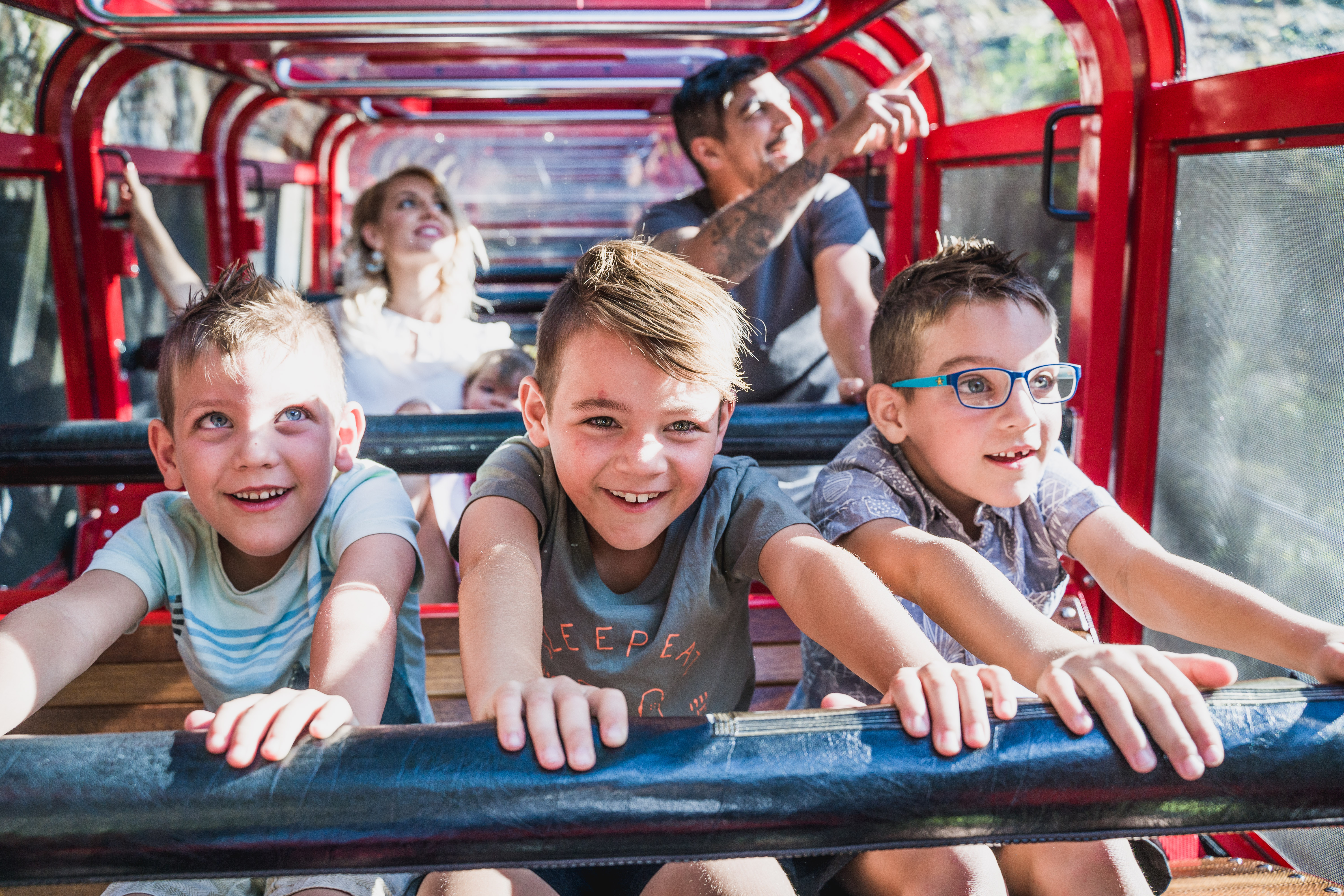 Blue Mountains Explorer Lyrebird Pass