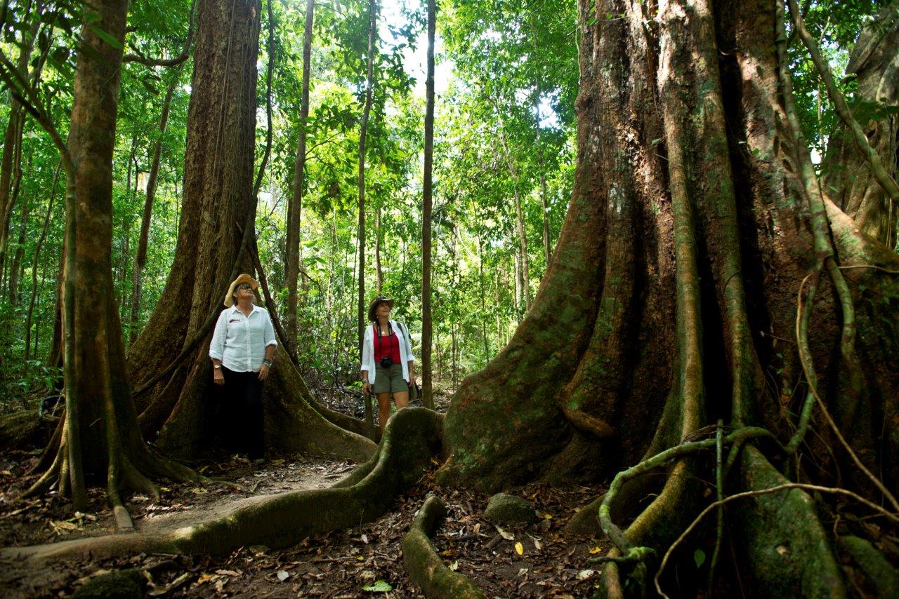 Drift Snorkeling and Mossman hike - North West Australian Safaris ...