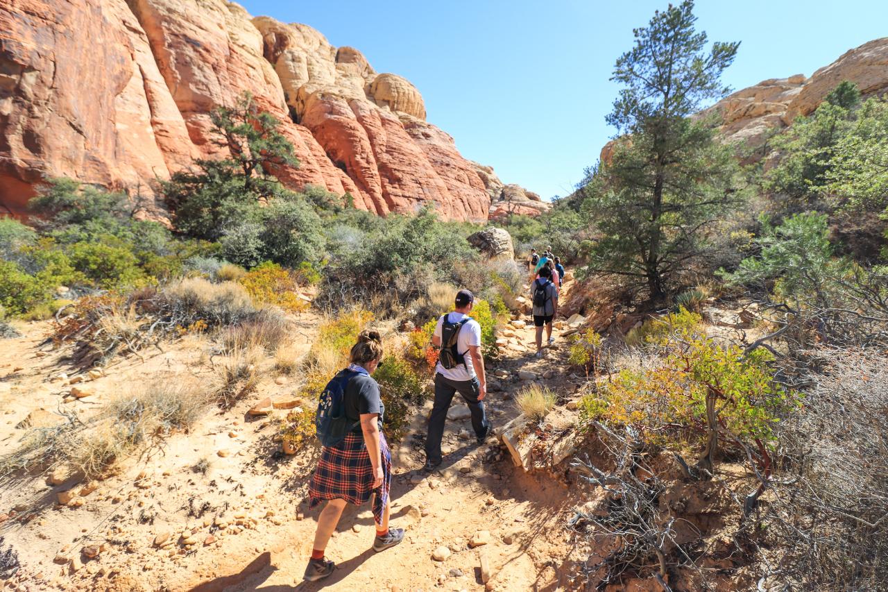 Red Rock Classic Hike 