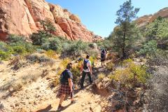 Red Rock Classic Hike 