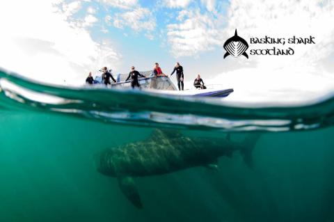 Hebrides Islands & Wildlife