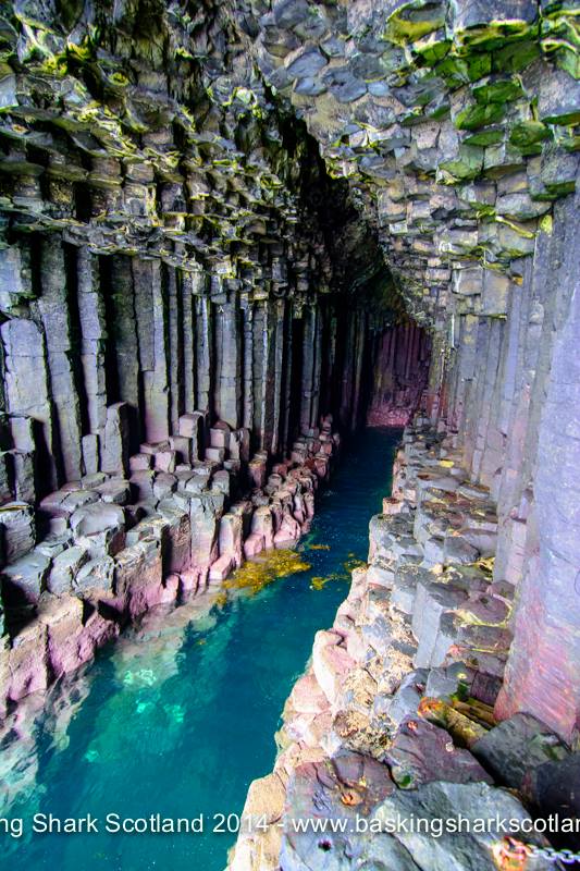 Swimming Fingals Cave