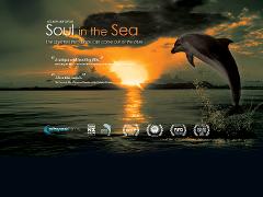 Soul in the Sea Documentary