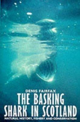 Basking Shark in Scotland by Dennis Fairfax