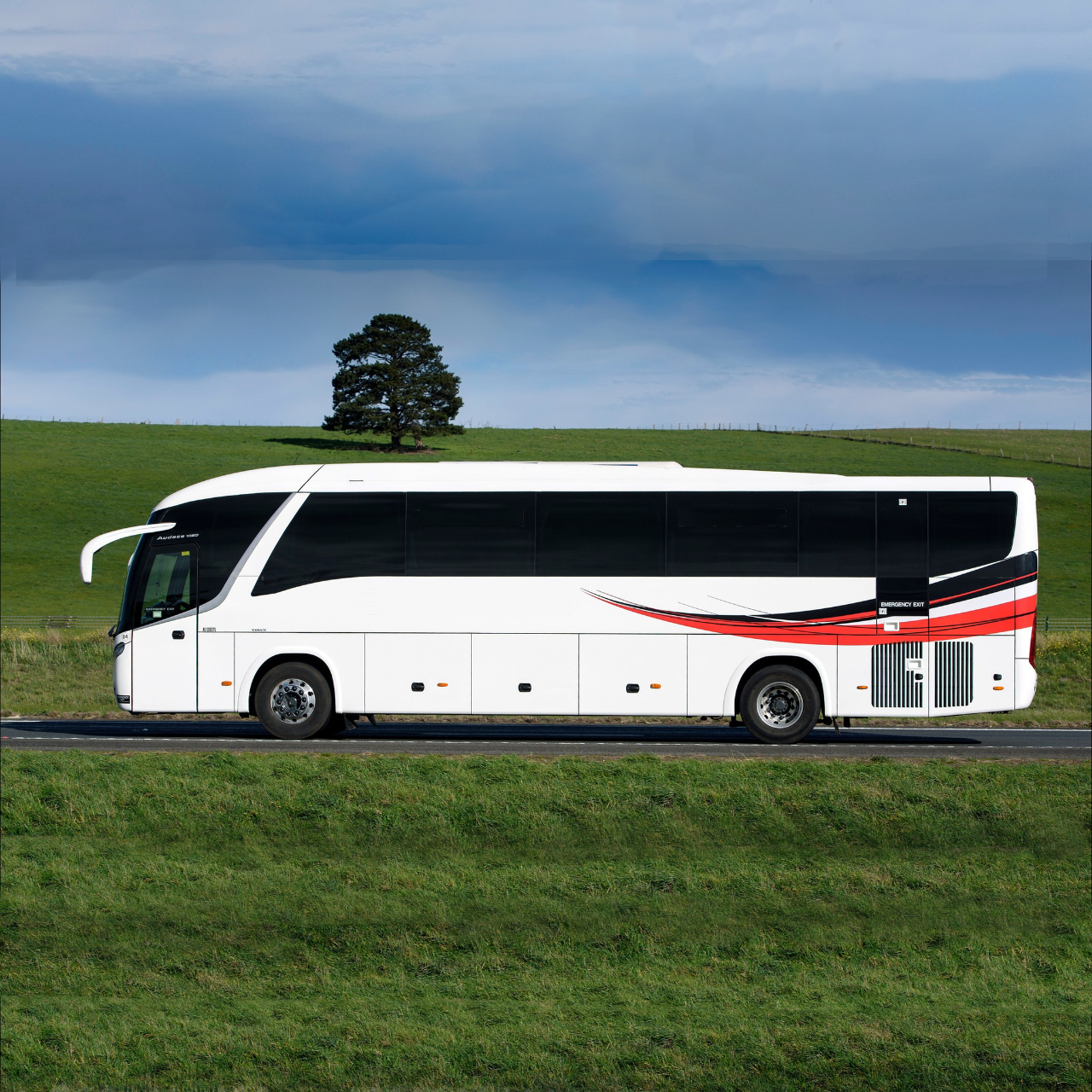 Fringe @ Molly's | Bus Charter