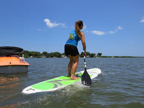 Stand-Up Paddle Board - 1/2 Hour