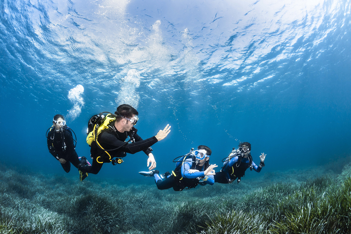 Open Water Scuba Diving Certification Course