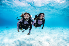 2 Drift Dives (certified divers)