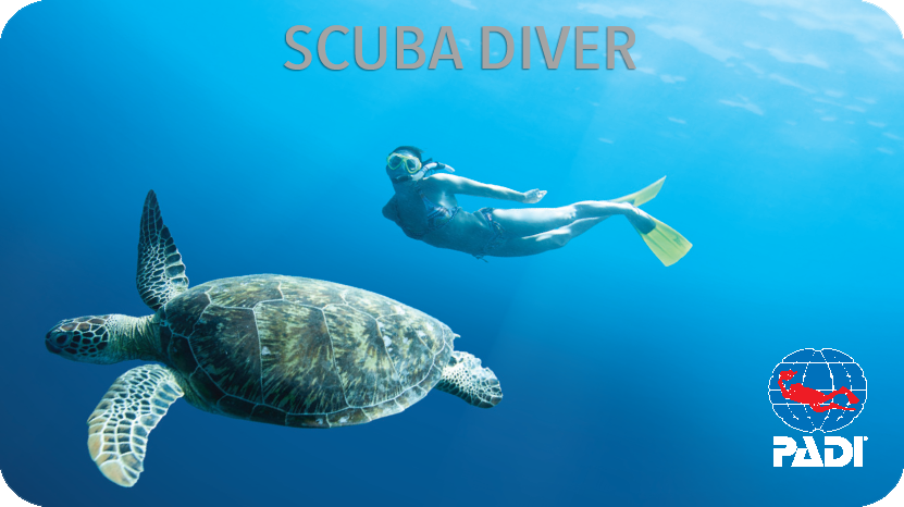 PADI Scuba Diver  - small groups (2-4 pers.)