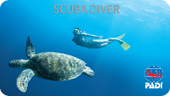 PADI Scuba Diver  - small groups (2-4 pers.)