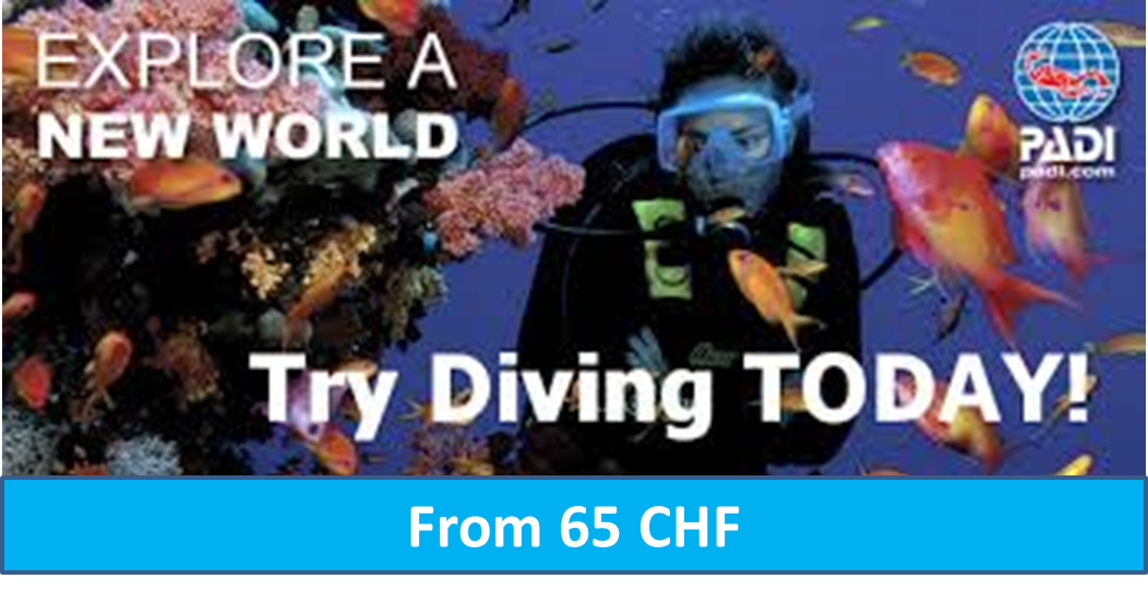 Special: Family Discover Scuba Diver