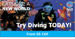 Special: Family Discover Scuba Diver