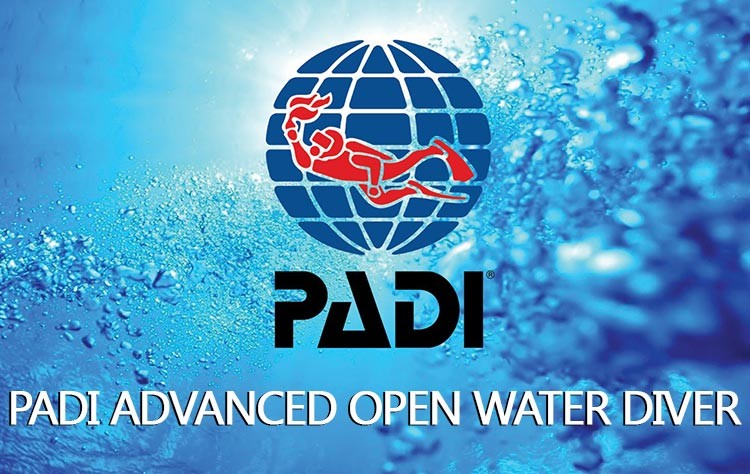 PADI Advanced Open Water Diver (AOWD) - small group (2-3 pers) at fixed timing
