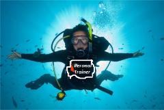 Personal Dive Coaching