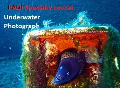 PADI Underwater Photography
