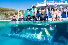 Great Keppel Island Combo Tour