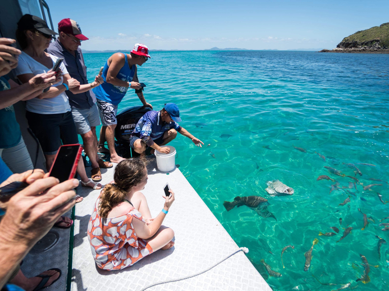 Great Keppel Island Glass Bottom Boat Day Tour