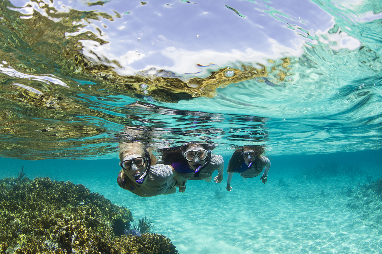 snorkeling tours sydney australia