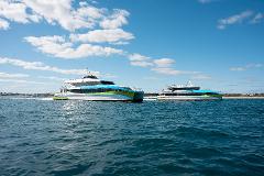 ROTTNEST - ROTTNEST FAST FERRIES - Day Return from Hillarys including Island Explorer