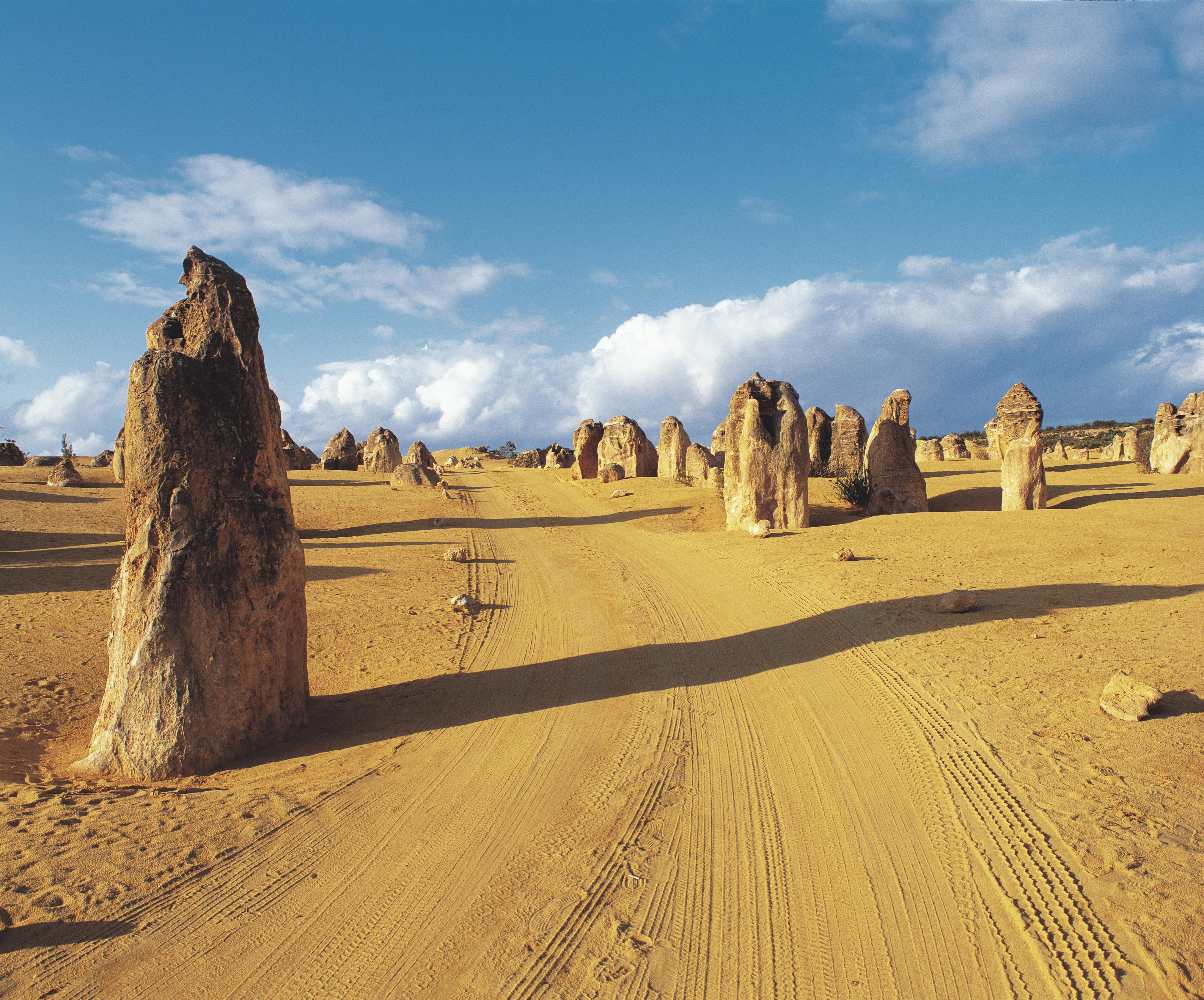 1-Day Tour from Perth: Pinnacles, New Norcia Benedictine History and Seasonal Wildflowers  