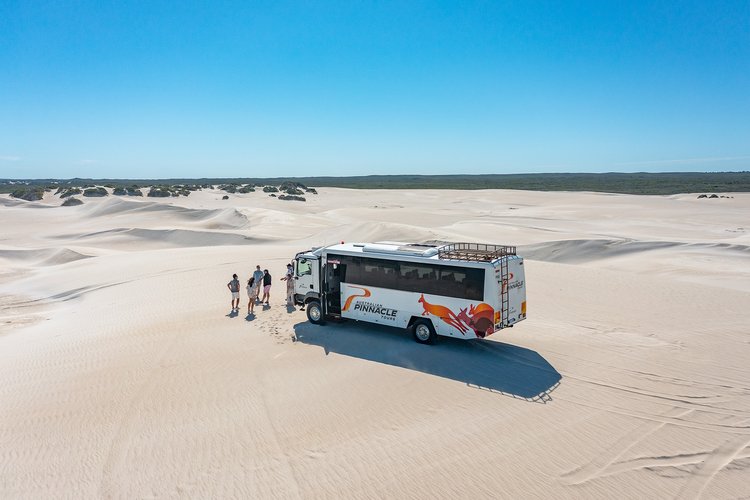 1-Day Tour From Perth: Pinnacles, Koalas, and Sand Boarding 4WD Adventure 