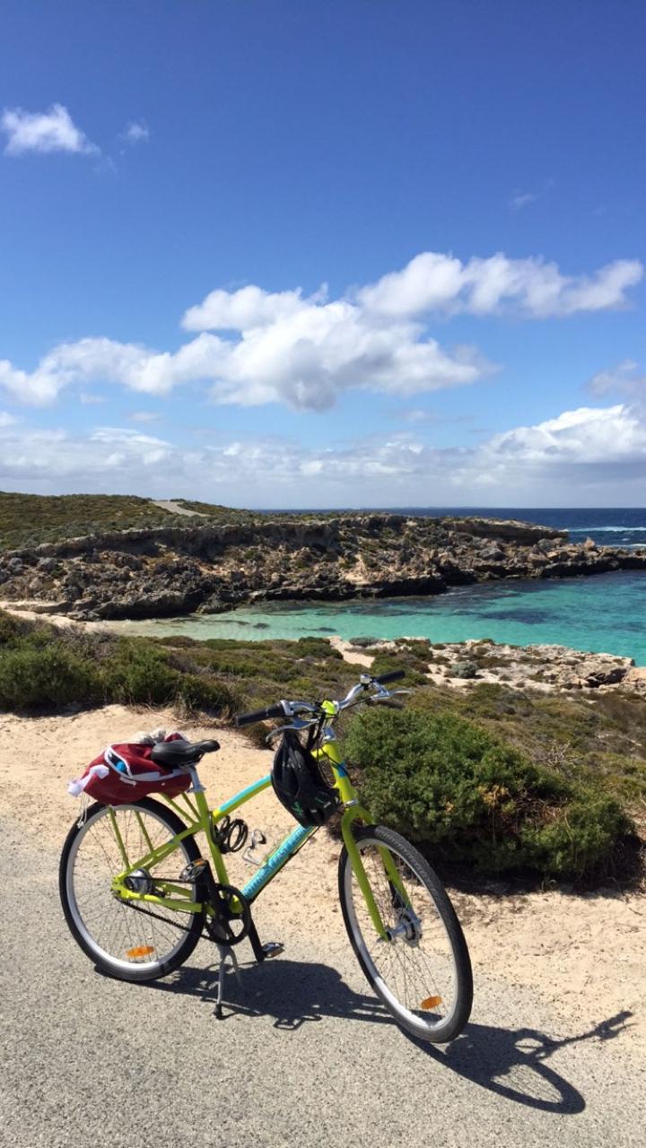 ROTTNEST - ROTTNEST FAST FERRIES - Bike and ferry combo from Hillarys
