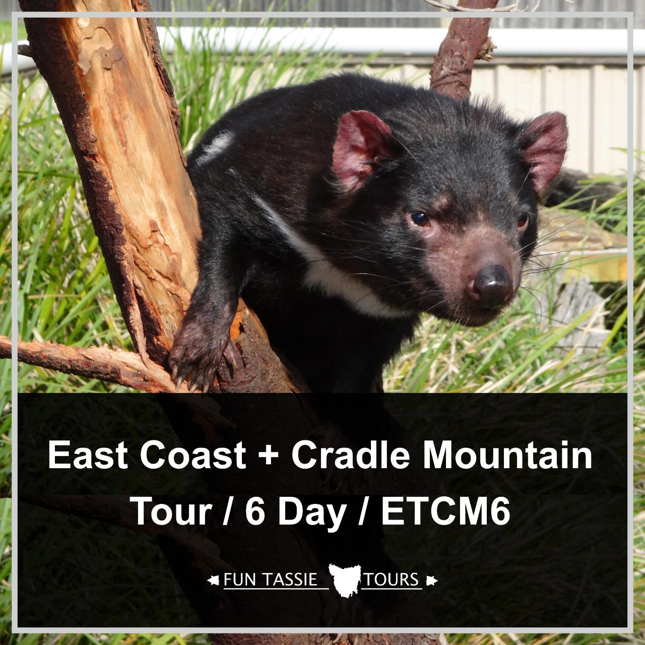 6 Day East Coast Scenic Tasmania Tour