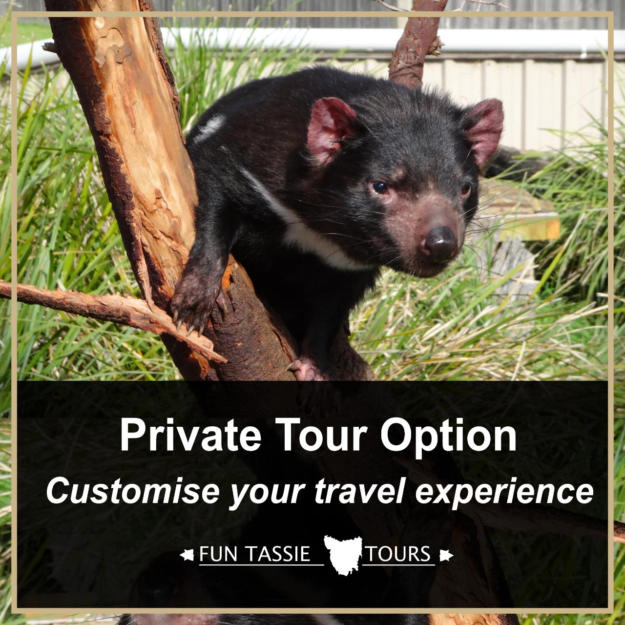 Private Tour Option