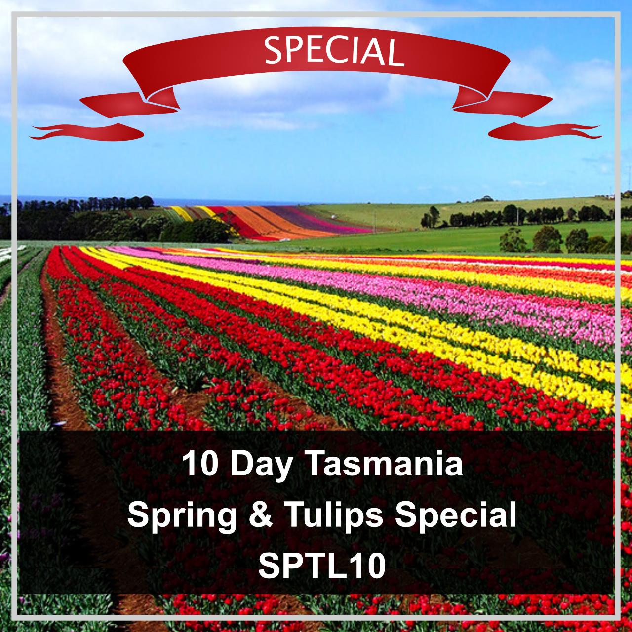 10 Day Tasmania Spring & Tulips Special