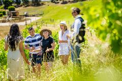 McLaren Vale: Organics, Sustainability, & Wine - Private Tour