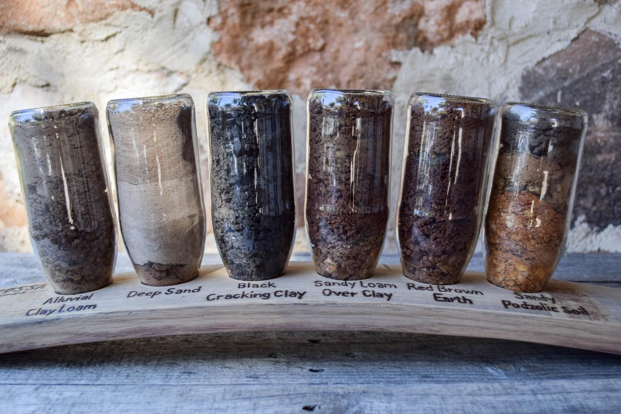 Barossa Terroir Specialist