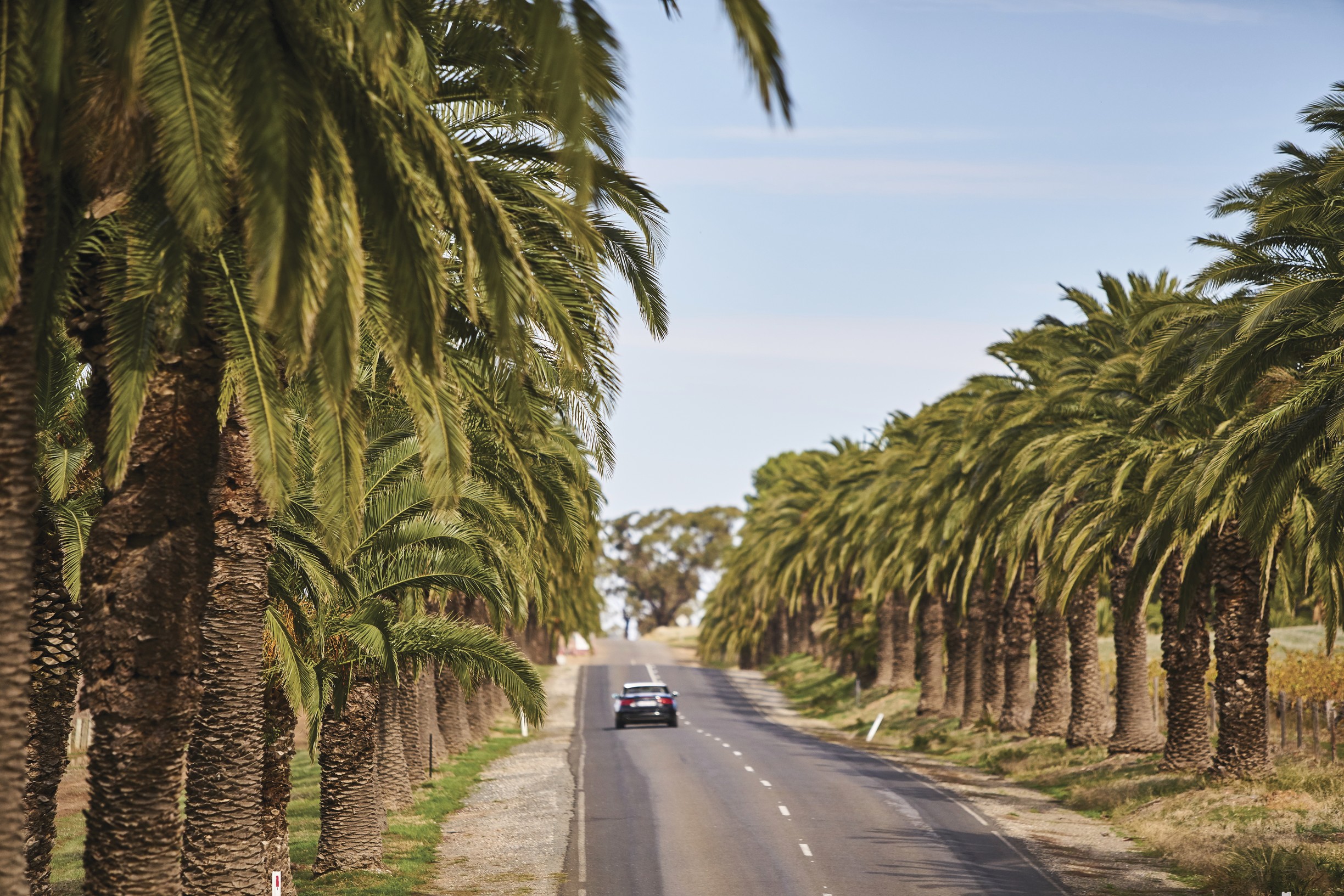 Barossa: A Truly Barossan Wine Experience - Private Tour